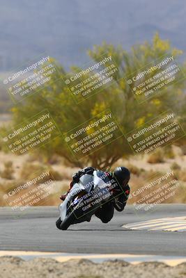 media/Apr-10-2022-SoCal Trackdays (Sun) [[f104b12566]]/Turn 5 Tree of Life (1040am)/